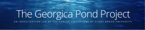 The Georgica Pond Project