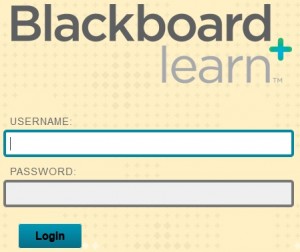Stony-Brook-Blackboard-Learn-Login
