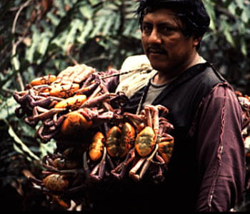 Crabs to Market. Photo by Robert Twilley