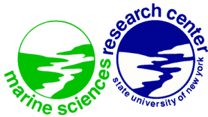 MSRC-Logo
