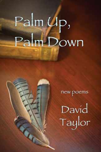Taylor, D.  (2017) Palm Up, Palm Down. San Antonio, TX: Wings Press.