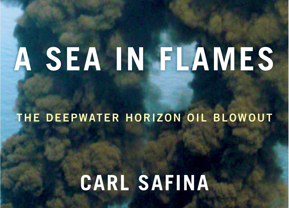 Safina, C. 2011. A Sea in Flames. Random House, Inc. New York.