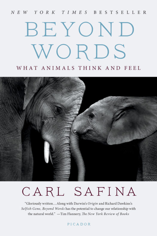 Safina, C. 2015. Beyond Words: What Animals Think and Feel. Henry Holt Co. New York.
