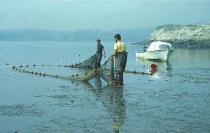 The Long River Beach Seine survey, begun in 1974, is among many unique scientific samplings represented in the Hudson River Collection.