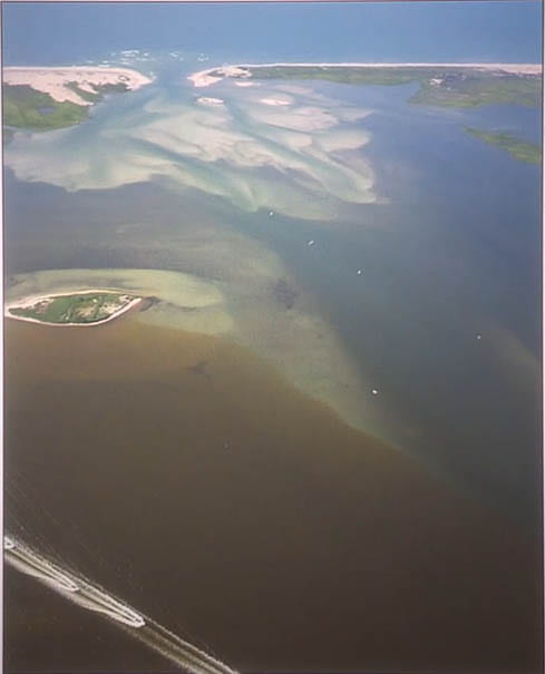 Long Island’s Great South Bay became clearer during the 2019 season due to a new inlet but it is not immune to brown tides and other harmful algal blooms (HABs). New research supported by NY Sea Grant will develop and test shellfish aquaculture techniques that integrate macroalgae culture. Macroalgae have been shown to help control a variety of HABs populations. Image credit: Chris Gobler