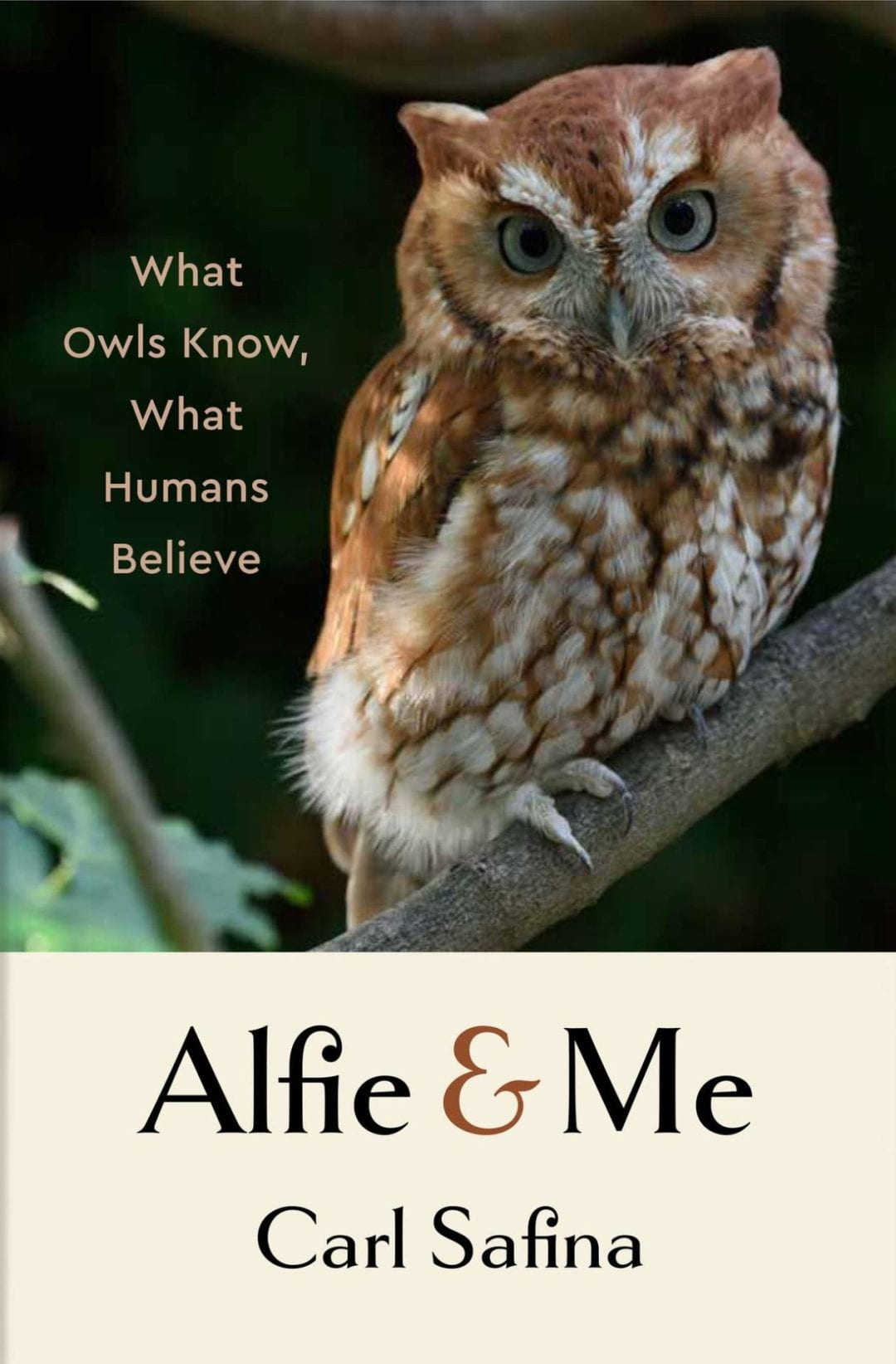 Safina, C. (2023). Alfie & me: What owls know, what humans believe (First edition.). New York: W. W. Norton & Company.