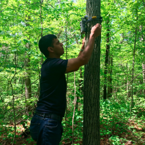 Photo 1. Student Andrew Fiorenza hangs a camera trap in the Ashley Schiff Park Preserve. He received funding from the Friends of Ashley Schiff to conduct this project. 