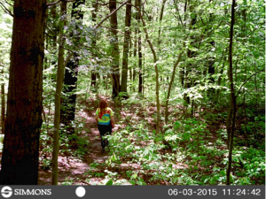 Photo 2. Photographic data from camera trap. The cameras take pictures of people as they pass into the park. This camera-trap photo shows Alex VanLoo, who received funding from the Friends of Ashley Schiff, entering the park. 